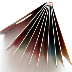 Imagen de MONO - Mi árbol, mi casa