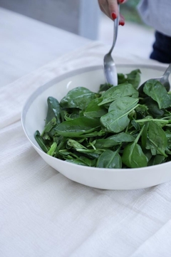Ensaladera de melamina