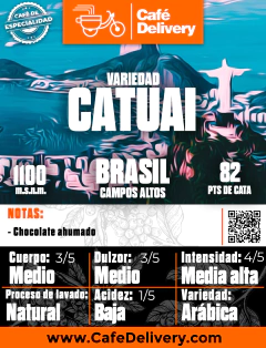 Café Brasil Catuai x 1/2 Kg en grano o molido - comprar online
