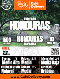 Café de Honduras x 1/2 Kg en grano o molido - comprar online