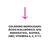 Colágeno Hidrolizado + Beauty Complex | Pack x 2 - comprar online