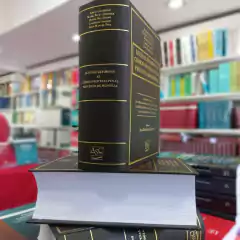 Leyes de Reformas al Código Procesal Penal de Mendoza - Coussirat en internet