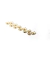 Kit 6 pares de Tarraxas pequenas banhada em Ouro 18k - comprar online