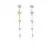 Brinco Ear Jacket com pérolas Banhado em Ouro 18k
