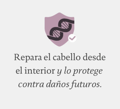 Shampoo Restore 60 ml en internet
