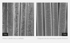 Acondicionador Restore 236 ml en internet