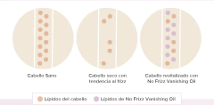 Aceite No Frizz Vanishing Oil 50 ml en internet