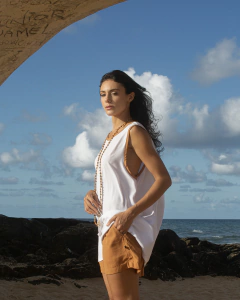 Regata Vento Norte na internet