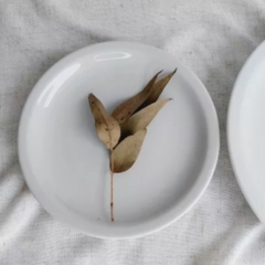 Plato Lunch Entrada Recta Verbano x 21 cm x6 - tienda online
