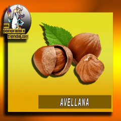 AVELLANA