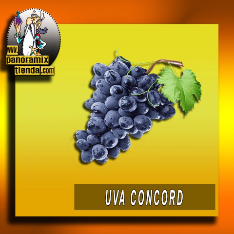 UVA CONCORD - CONCORD GRAPE