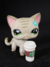 COPO STARBUCKS - MUNDO LPS