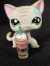 FRAPPUCCINO na internet