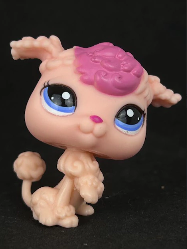 POODLE #2177 - comprar online