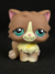 GATO PERSA #371 - comprar online