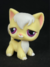 GATO PELO LONGO #364 - comprar online