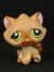 GATO MALHADO #194 - comprar online