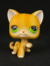 GATO #11 - comprar online