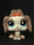 LHASA APSO #2130 - comprar online