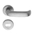 Latina II Currao - comprar online