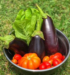 Workshop presencial La huerta en primavera verano 13/9 - tienda online