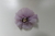 Flor de Cabelo - buy online
