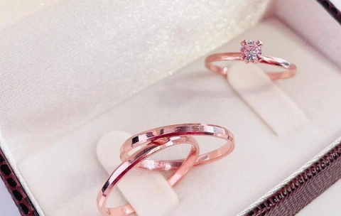 Alianças Natal Lisa 2 MM Rose - Anel de Brinde