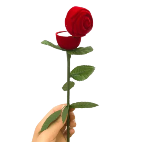 Caixinha de Veludo Rosa com Cabo