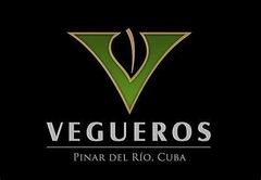 Banner de la categoría VEGUEROS