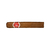 FLOR DE CANO ELEGIDOS X UNIDAD