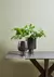 Imagen de Dressoire base de metal negro y tapa de porcelanato 120x45cm