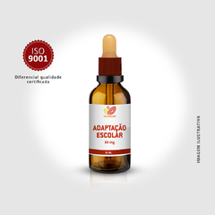 ADAPTAÇÃO ESCOLAR - 30mL