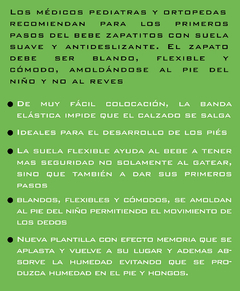 Imagen de Zapatilla Ergonomica MAX-R Leones Marron