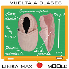 Imagen de Zapatilla ergonomica MAX Rosa