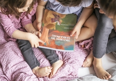 Historias del Quirquincho