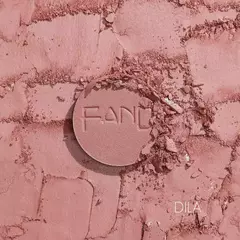 Blushes compacto FAND