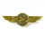 BOEING 777 WINGS PIN