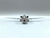 AMERICAN AIRLINES (Working Together Livery) en internet