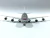 CARGOLUX (Polished) en internet
