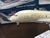 ETIHAD A380-800 - Air Tango Hobbie Shop