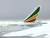 ETHIOPIAN CARGO - comprar online