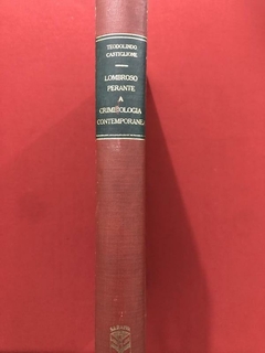 Livro - Lombroso Perante A Criminologia Contemporânea - Teodolindo Castiglione