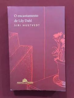 Livro - O Encantamento De Lily Dahl - Siri Hustvedt