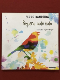 Livro - Pequeno Pode Tudo - Pedro Bandeira - Ed. Moderna