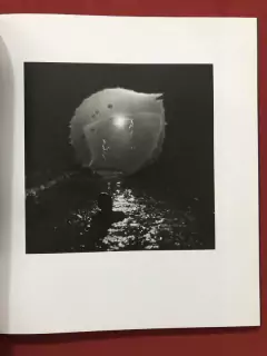 Livro - Quotidian - Alain Laboile - Leica - Capa Dura - Seminovo na internet