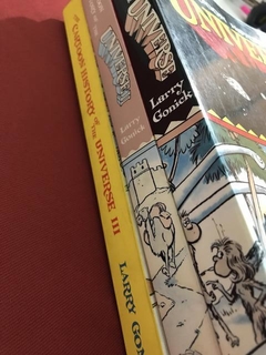 Livro - The Cartoon History Of The Universe I, II e III - loja online