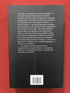 Livro - O Valor Do Amanhã - Eduardo Giannetti - Seminovo - comprar online