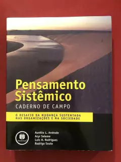 Livro - Pensamento Sistêmico - Aurélio L. Andrade - Editora Bookman - Seminovo