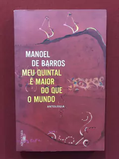 Livro- Meu Quintal É Maior Do Que O Mundo - Seminovo