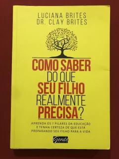 Livro - Como Saber Do Que Seu Filho Realmente Precisa? - Luciana Brites - Ed. Gente